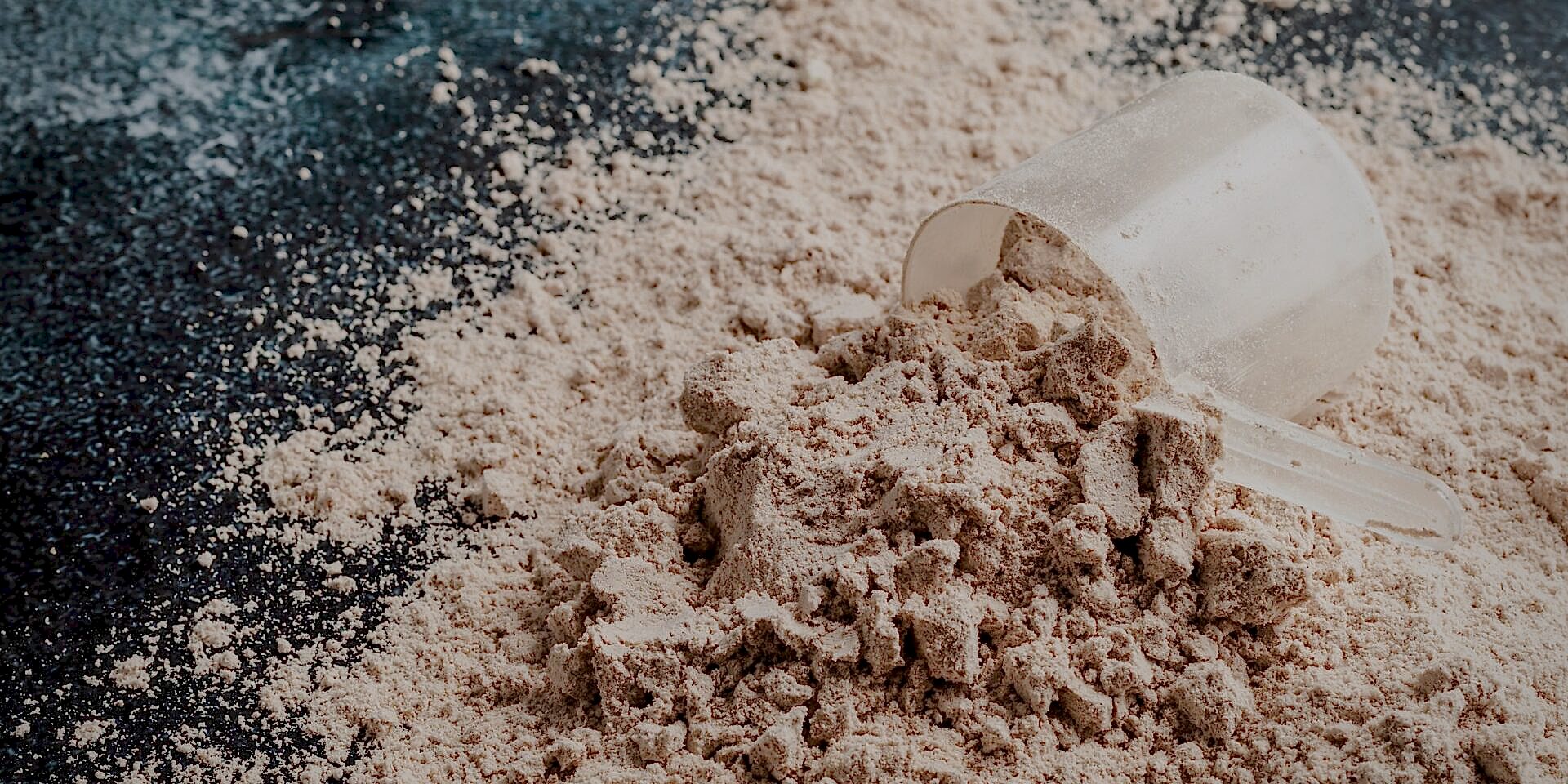 The Best Protein Powders to Use